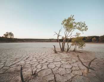 The silent crisis: how water scarcity affects global health